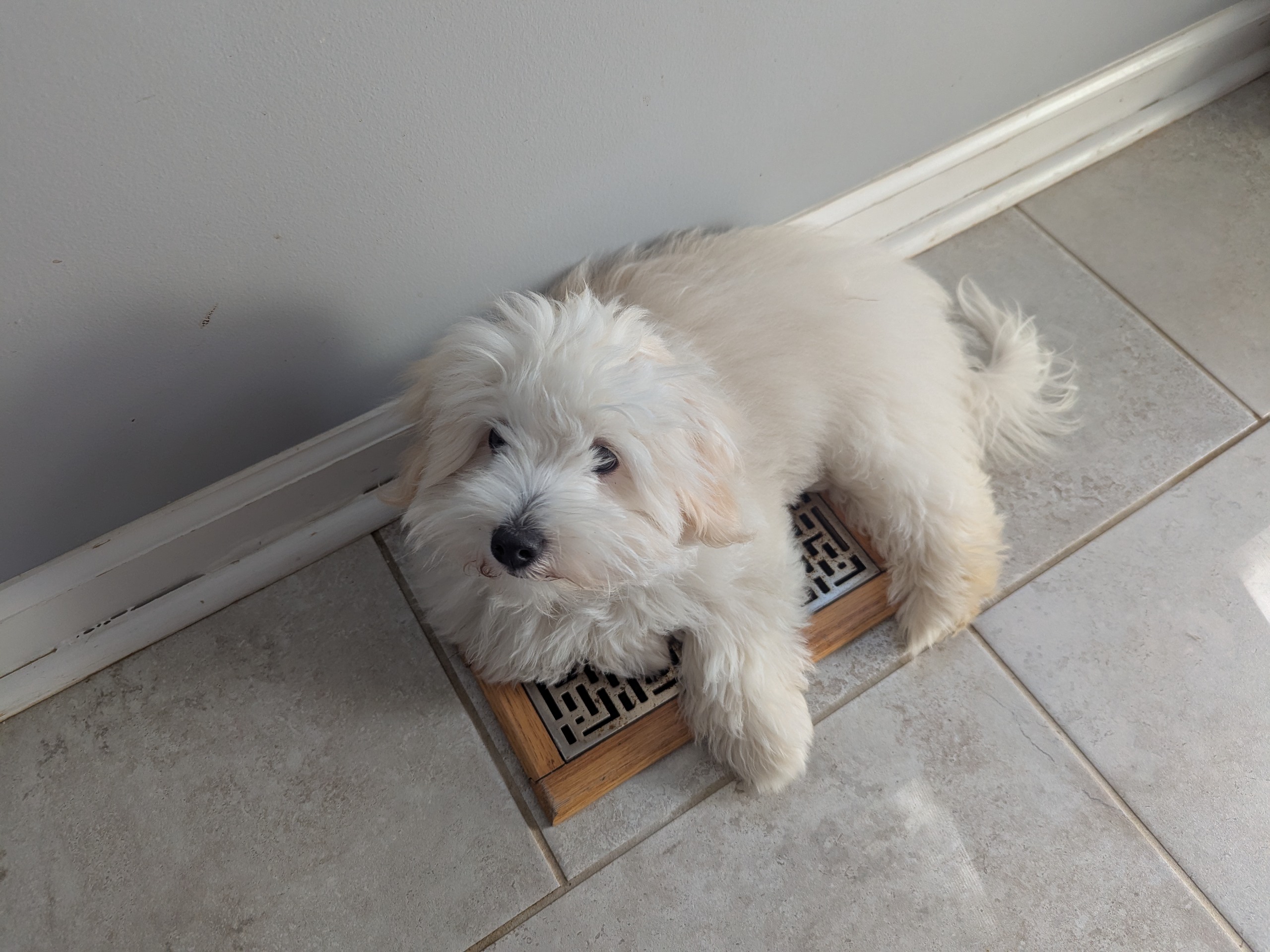 06SEP2025 Jude on AC Vent