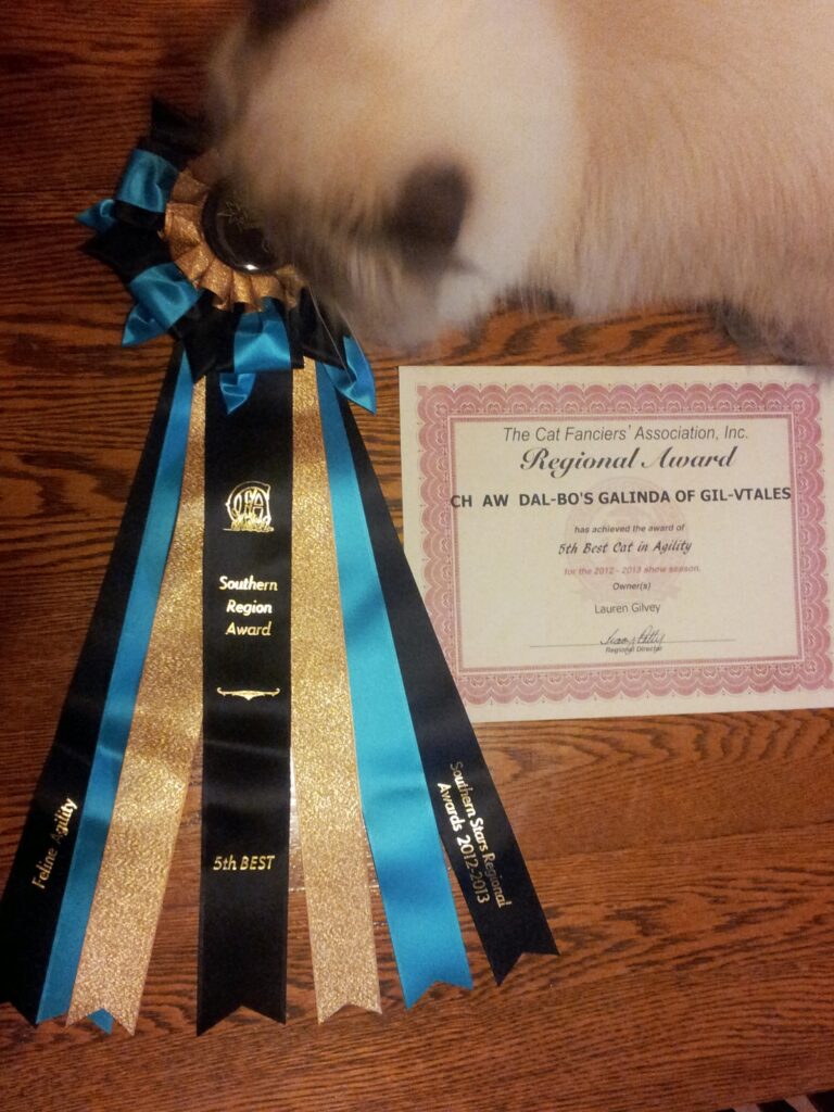 Our 1st regional win - Agility 